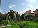 Třibřichy